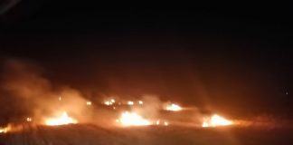 Ministrul de Interne pune presiune pe autoritățile locale pentru prevenirea incendiilor de pădure