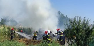 VIDEO Arde un adăpost de animale la Balta Raței
