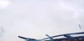 FOTO Foc pus intenționat la un adăpost de animale. Pagube importante