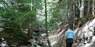 Sfârșit de săptămână încărcat și pentru jandarmii vrânceni