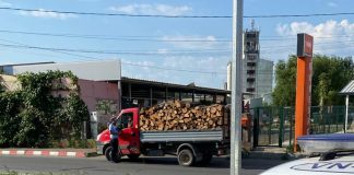 Controale în sectorul silvic în prima jumătate a lunii aprilie, soldate cu dosare penale, amenzi și confiscări de lemne