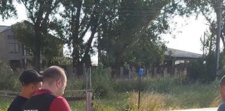 Confiscări de lemne și amenzi în urma unui control la două depozite din județ