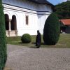 manastire sambata de sus