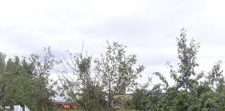 Două accidente cu răniți ușor, pe drumurile din Vrancea