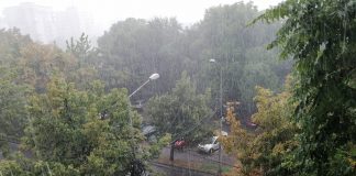 Vrancea, sub coduri meteo de ploi abundente și disconfort termic