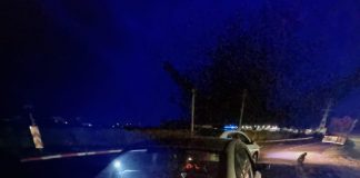 Doi tineri reținuți pentru că înșelau oamenii prin metoda ”Covid-19”