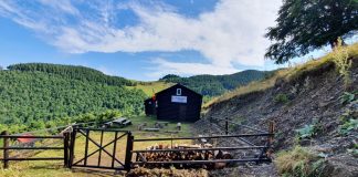 FOTO Iubitorii muntelui și ai naturii au amenajat un refugiu pentru turiști în Munții Vrancei