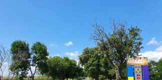 Rata de infectare cu SARS-CoV-2 a depășit 2 la mie în comuna Ruginești