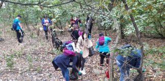 Ziua de Curățenie Națională, sărbătorită de elevi și tineri voluntari printr-o acțiune de ecologizare în Crângul Petrești