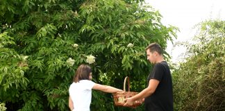 FOTO-VIDEO Pădurea Neagră, Pădurea Merișor-Cotul Zătuanului, farmacie și cămară pentru comunitățile locale