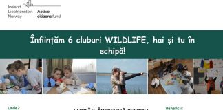 ACDB caută voluntari care iubesc natura și înființează 6 cluburi Wildlife