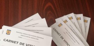 Podgorenii vrânceni își pot ridica certificatele de viticultor de la Direcția Agricolă