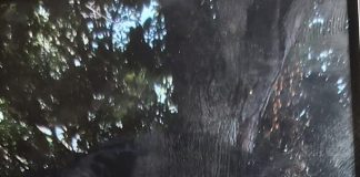 Tânăr dispărut de acasă. Este căutat de familie și de cadrele MAI