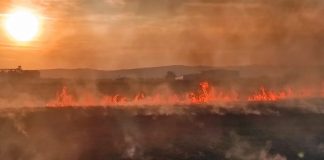 FOTO   Incendii de vegetație uscată la Bizighești și Golești