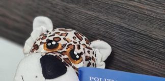 Fetiță de 6 ani și adolescentă de 14 ani, dispărută dintr-un centru social, găsite de polițiști în stațiile CFR din județ