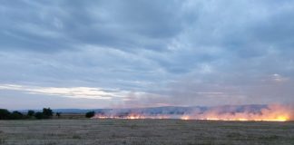 ULTIMA ORĂ Incendiu de vegetație uscată aproape de Focșani