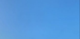 O femeie de 53 de ani a murit în accidentul de pe Șoseaua Vrancei