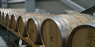 Vinurile vrâncene, noi premii de excelență