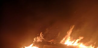 ULTIMA ORĂ Arde o casă la Gologanu