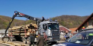 Ce amenzi se dau transportatorilor de lemne pentru nerespectarea legii