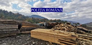 VIDEO Aproape 150 de percheziții într-un dosar de evaziune fiscală, spălare de bani, delapidare și tăieri ilegale de arbori