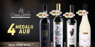 Noi medalii internaționale de aur pentru vinurile produse în Vrancea