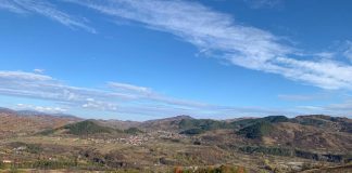 Sprijin guvernamental pentru investiții în zona montană: ferme, colectare/prelucrare lapte, colectare fructe de pădure/ ciuperci/ plante medicinale