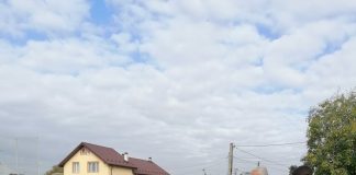 FOTO Violența împotriva animalelor, abordată în cadrul unei campanii de sterilizare a câinilor și pisicilor la Pufești