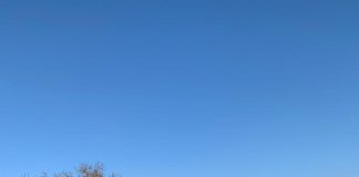 Acțiune de amploare a polițiștilor rutieri din Vrancea și alte 5 județe: 580 amenzi, 47 permise reținute