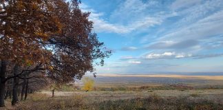 Meteo: vremea se răcește în a doua jumătate a lunii noiembrie