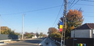 Curățenie de toamnă la Vîrteșcoiu