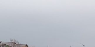 FOTO Trafic îngreunat pe podul de la Golești