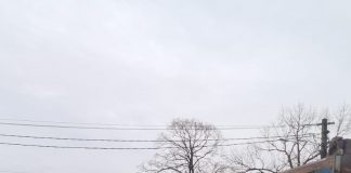 Trafic îngreunat pe E85, la Garoafa, din cauza unui tir