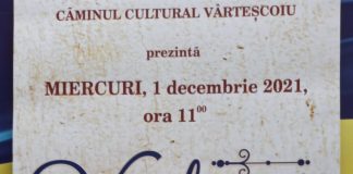 Filme documentare și artistice, de Ziua Națională, la Vîrteșcoiu