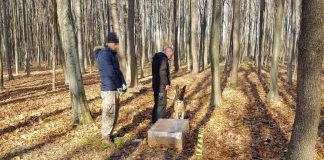 VIDEO Contrabandiști de țigări, prinși cu focuri de armă la granița cu Ucraina