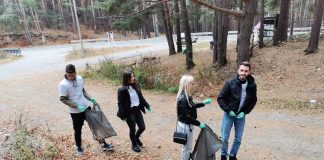 Tineri implicați în acțiuni de ecologizare, în județ