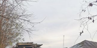 Primăria Pufești ajută familiile nevoiașe cu lemne din demolări