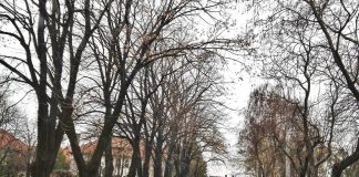 Locuri vacante în unități publice din Focșani și Mărășești