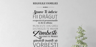 3 sfaturi pentru a alege stickerele de perete potrivite