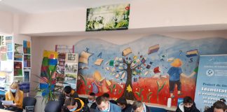 Punct final la proiectul de și pentru tineret “Mentorship”