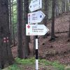traseu soveja zboina