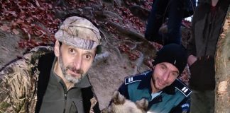 VIDEO Pui de urs salvat dintr-un laț, la Andreiașu