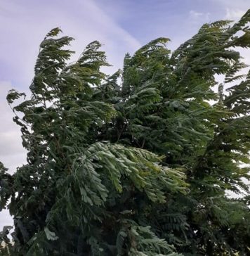 Meteo: Urmează câteva zile cu vânt și precipitații