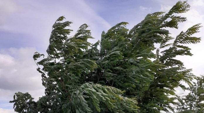 Meteo: Urmează câteva zile cu vânt și precipitații