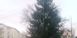 Culmea sărbătorilor: brad montat în mijlocul intersecției în orașul Panciu VIDEO