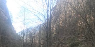 Jandarmii montani, la datorie în stațiunile Soveja și Lepșa. Ce alte misiuni mai are Jandarmeria