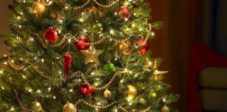 Nicușor Păcuraru, primarul comunei Vulturu: Crăciun Fericit și La Mulți Ani!