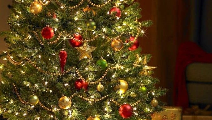 Nicușor Păcuraru, primarul comunei Vulturu: Crăciun Fericit și La Mulți Ani!