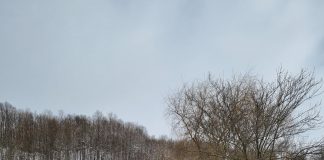 Cadrele Spitalului Militar Focșani l-au ajutat pe Moș Crăciun să ajungă la familii nevoiașe din satele îndepărtate ale județului