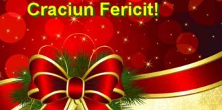 George Nica, primarul municipiului Adjud: Crăciun Fericit!